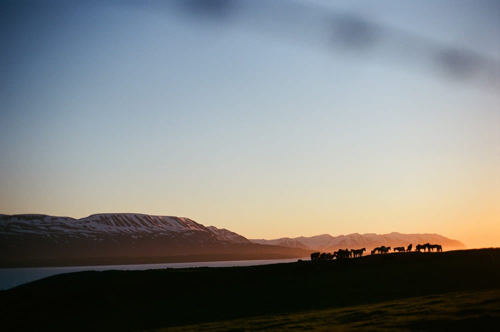 036-Islande-Iceland-Roadtrip