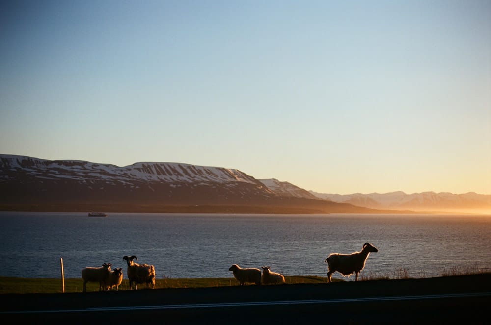 038-Islande-Iceland-Roadtrip