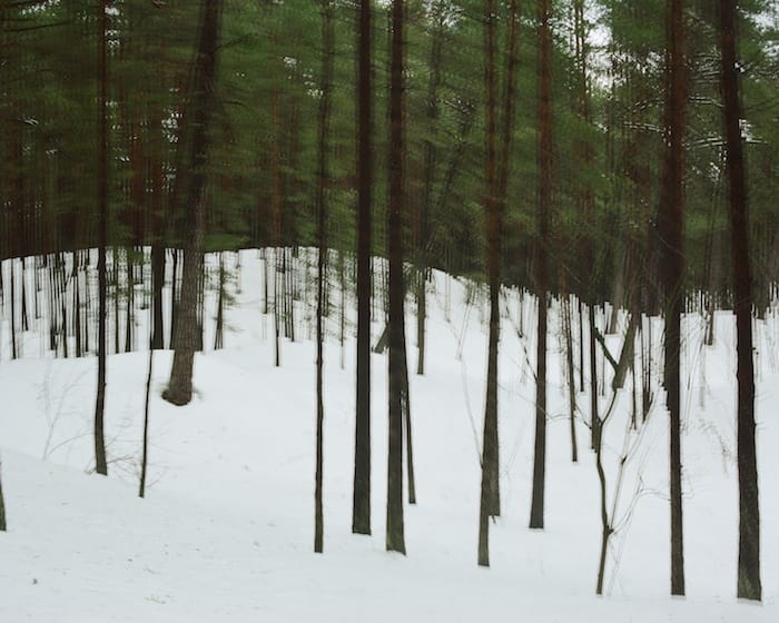 Latvijas Valsts meži